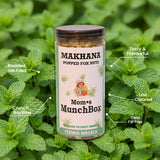 Pudina Flavoured -  Roasted Masala Makhana - 100 gms.
