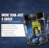 Dried Californian Blueberries - By Mom's MunchBox | 230 gm.